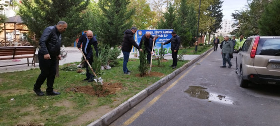 Nəsimi rayonunda “Yaşıl dünya naminə həmrəylik ili” çərçivəsində növbəti ağacəkmə aksiyası keçirilib.