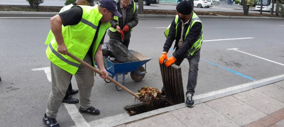 Nəsimi rayonunda növbəti iməcilik keçirilib