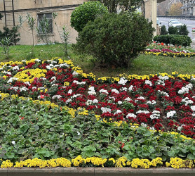 Nəsimi rayonunda başlanılmış abadlıq və təmir-bərpa işləri davam etdirilir.