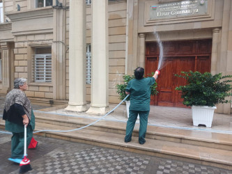 Nəsimi rayonunda idarə, müəssisə və təşkilatların iştirakı ilə iməcilik keçirilib