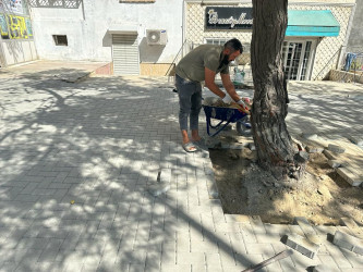 Nəsimi rayonu Həsən Əliyev küçəsində təmir-bərpa işləri aparılıb