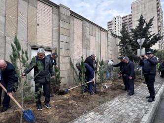 Nəsimi rayonunda “Yaşıl dünya naminə həmrəylik ili” çərçivəsində növbəti ağacəkmə aksiyası keçirilmişdir.