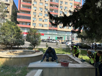 Mir Cəlal küçəsində yerləşən parkda cari təmir işləri aparılır.