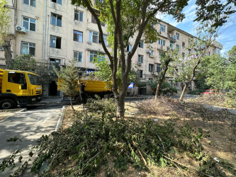 Nəsimi rayonu Cavadxan küçəsi 36 saylı binanın fasadında əsaslı təmir işlərinə başlanılıb.