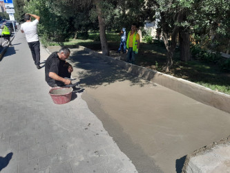 Mir Cəlal küçəsi 2 saylı ünvanda tullantıların səmərəli idarə olunması üçün yeni meydaça yaradılmışdır.