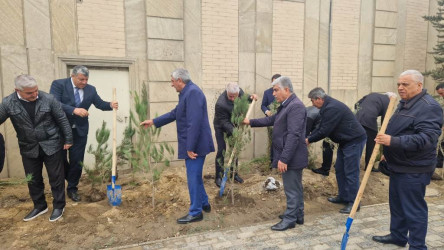 Nəsimi rayonunda “Yaşıl dünya naminə həmrəylik ili” çərçivəsində növbəti ağacəkmə aksiyası keçirilmişdir.