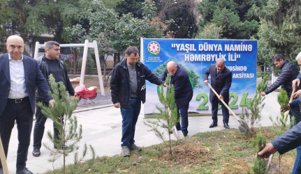 Nəsimi rayonunda “Yaşıl dünya naminə həmrəylik ili” çərçivəsində növbəti tədbir keçirilib.