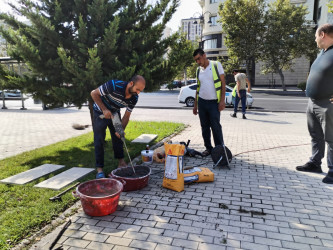 Bakıxanov küçəsi Sevil Qazıyeva parkında cari təmir işləri aparılıb.