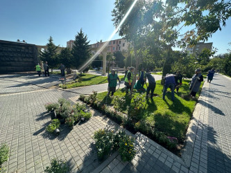 RİH başçısı  Nəsimi rayonunda yerləşən Zəfər bağına baxış keçirib.