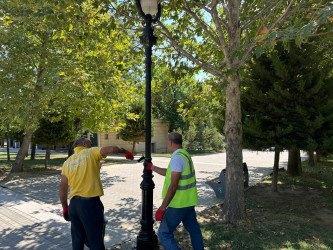 Zorge parkında cari təmir işləri aparılıb.