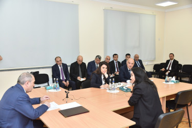 Nəsimi rayon İcra Hakimiyyətinin başçısı növbəti səyyar qəbul keçirib