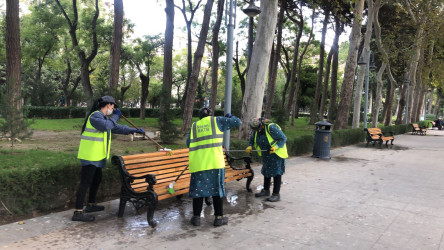 Nəsimi rayonunda növbəti iməcilik keçirilib