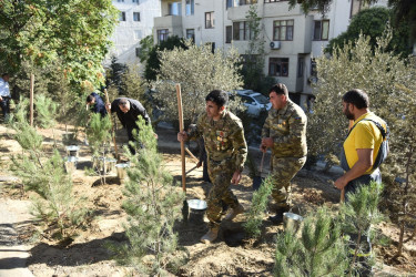 Nəsimi rayonunda 27 sentyabr-Anım günü  münasibətilə ağacəkmə aksiyası keçirilib.