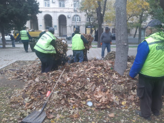 Rayonda növbəti iməcilik təşkil olundu.