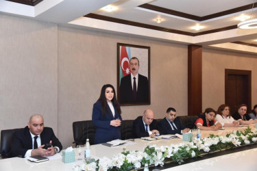 Nəsimi Rayon İcra Hakimiyyətində tam orta ümumtəhsil məktəblərinin və məktəbdənkənar təhsil müəssisələrinin rəhbərlərinin iştirakı ilə müşavirə keçirilib