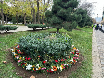 Nəsimi rayonunda başlanılmış abadlıq və təmir-bərpa işləri davam etdirilir.