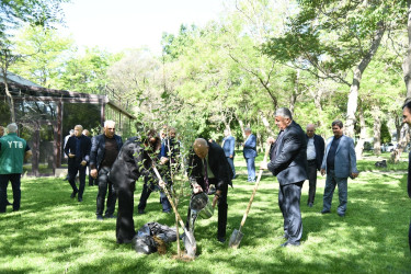 Ümummilli Lider Heydər Əliyevin anadan olmasının 102 - ci ildönümü münasibətilə ağacəkmə aksiyası keçirilib