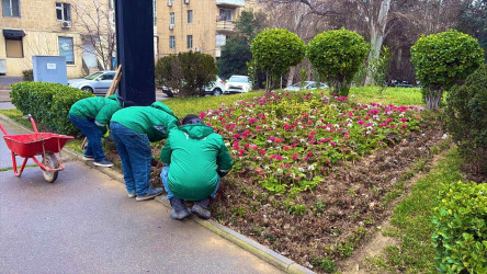Nəsimi rayonunda növbəti iməcilik keçirilib