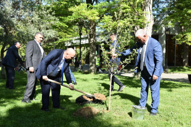 Ümummilli Lider Heydər Əliyevin anadan olmasının 102 - ci ildönümü münasibətilə ağacəkmə aksiyası keçirilib