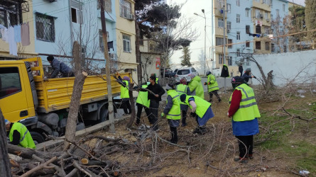 Rayonda iməcilik keçirildi.