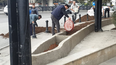 Nəsimi rayonunda abadlıq və yaşıllaşdırma işləri davam etdirilir.