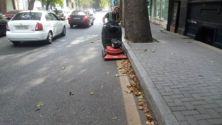 Rayonda küləyin fəsadlarının aradan qaldırılması istiqamətində tədbirlər görüldü