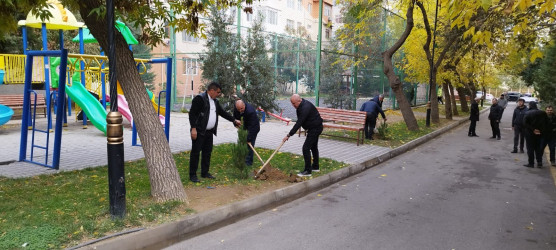 Nəsimi rayonunda “Yaşıl dünya naminə həmrəylik ili” çərçivəsində növbəti ağacəkmə aksiyası keçirilib.