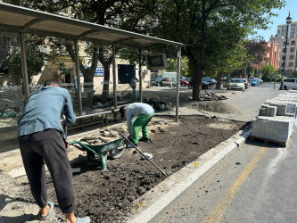 Nəsimi rayonu Həsən Əliyev küçəsində təmir-bərpa işləri aparılıb