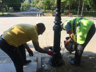 Zorge parkında cari təmir işləri aparılıb.