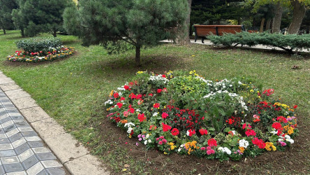 Nəsimi rayonunda başlanılmış abadlıq və təmir-bərpa işləri davam etdirilir.