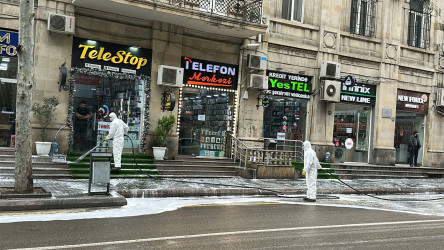 Nəsimi rayonunda genişmiqyaslı iməcilik keçirilib