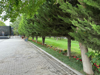 Zorge parkında cari təmir işləri aparılıb.