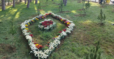 Nəsimi rayonunda “Yaşıl dünya naminə həmrəylik ili” çərçivəsində ağacəkmə aksiyası davam edir.