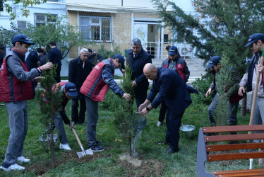 Nəsimi rayonunda növbəti “Abad həyət” sakinlərin istifadəsinə verilib.