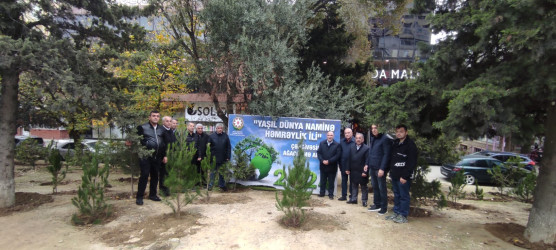 Nəsimi rayonunda “Yaşıl dünya naminə həmrəylik ili” çərçivəsində ağacəkmə aksiyası davam edir.