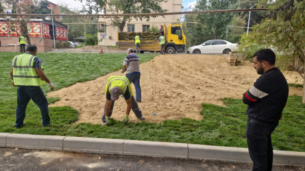 Nəsimi rayonunda növbəti iməcilik keçirilib