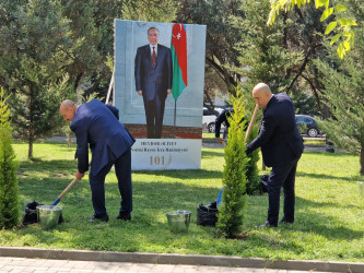 Ümummilli Lider Heydər Əliyevin anadan olmasının 101 illiyi ilə əlaqədar,  “Yaşıl dünya naminə həmrəylik ili” çərçivəsində ağacəkmə aksiyası keçirilib