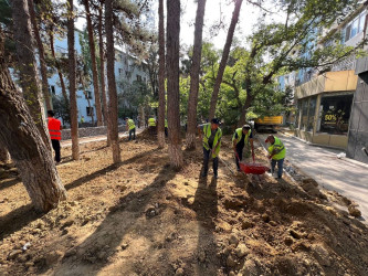 Rayonun Cavadxan küçəsi 26,30 saylı ünvanlarında abadlıq-quruculuq işləri davam edir.