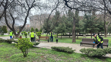 Nəsimi rayonunda genişmiqyaslı iməcilik keçirilib