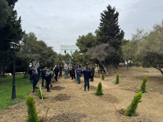Nəsimi rayonunda Anım Günü ərəfəsində ağacəkmə aksiyası keçirilib.