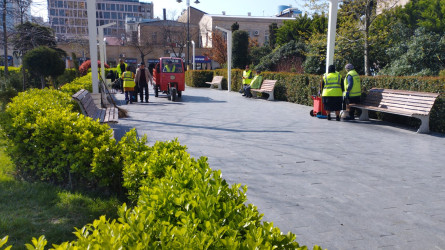 Nəsimi rayonunda növbəti iməcilik keçirilib