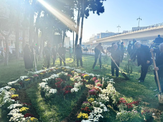 Nəsimi rayonunda “Yaşıl dünya naminə həmrəylik ili” çərçivəsində ağacəkmə aksiyası davam edir.