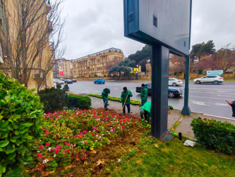 Nəsimi rayonunda növbəti iməcilik keçirilib