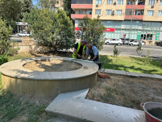 Mir Cəlal küçəsində yerləşən parkda cari təmir işləri aparılır.