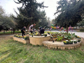 Nəsimi rayonunda Zəfər Günü münasibəti ilə ağacəkmə aksiyası keçirilib.