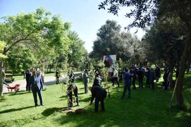 Ümummilli Lider Heydər Əliyevin anadan olmasının 102 - ci ildönümü münasibətilə ağacəkmə aksiyası keçirilib