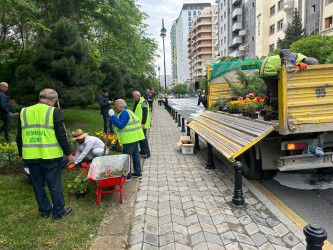 Rayonun Vaqif prospekti boyu yaşıllıq zolaqlarına həmişəyaşıl kollar və mövsümi güllər əkilmişdir.