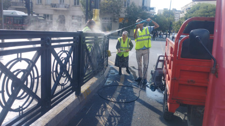 Nəsimi rayonunda növbəti iməcilik keçirilib