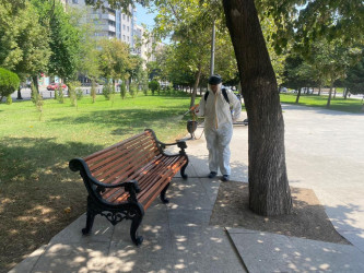 Nəsimi rayonunda parklarda təmizlik-dezinfeksiya tədbirləri görülüb