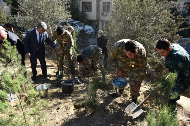 Nəsimi rayonunda 27 sentyabr-Anım günü  münasibətilə ağacəkmə aksiyası keçirilib.